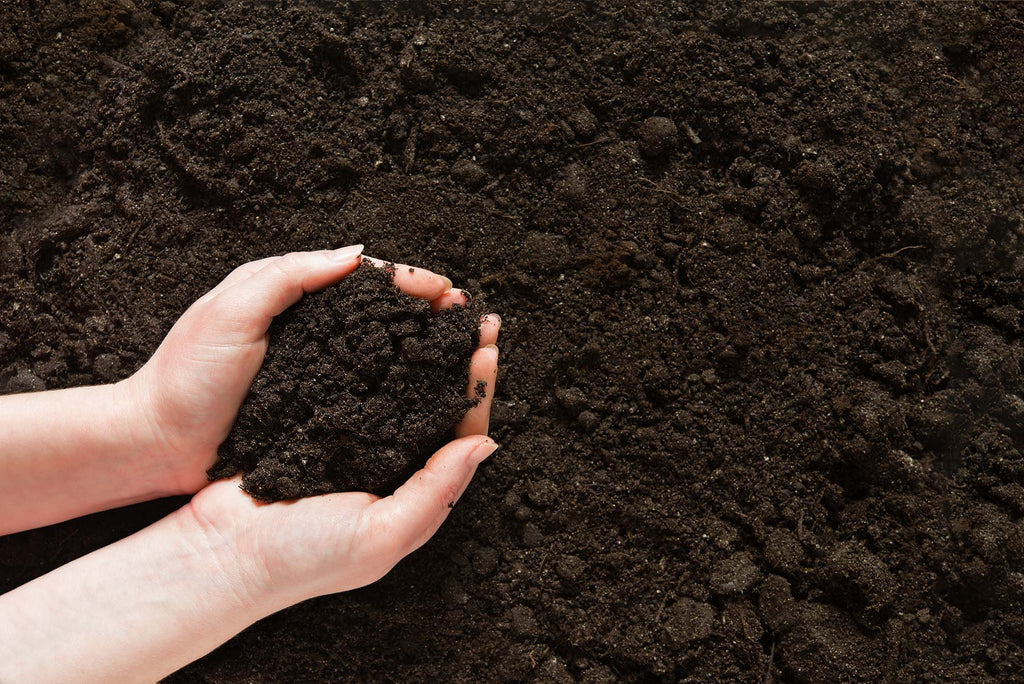 Choosing the right growing soil: How to do it