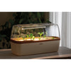 BOQUBE LED-Gewächshaus 5W - Creme-Kupfer - 41x17x23cm - ROMBERG