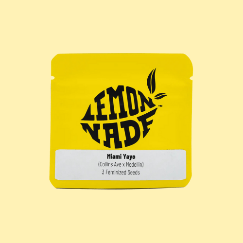 Cookies Lemonade - MIAMI YAYO - Feminsiert