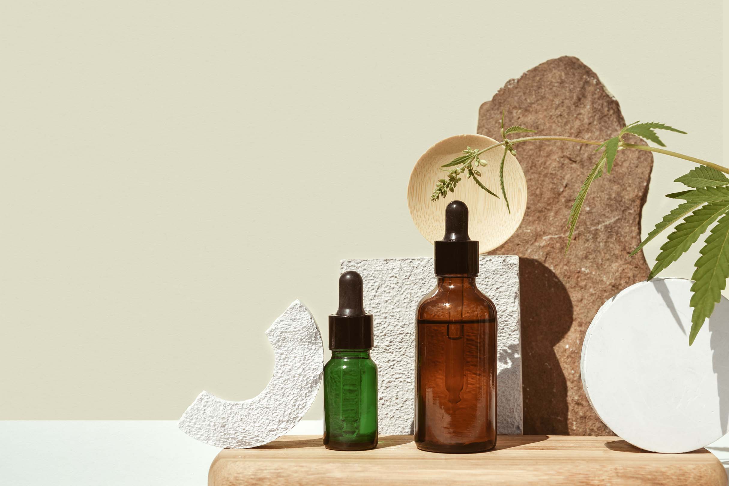 Anatomie der cannabispflanze aufbau funktionen erkl rt