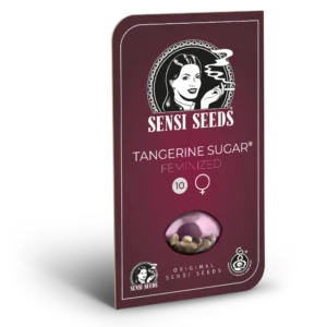 Tangerine Sugar ® Fem. - 3 Samen - Sensi Seeds