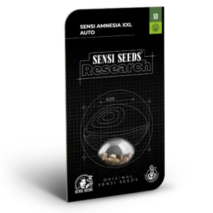 Sensi Amnesia XXL Auto - 3 Samen - Sensi Seeds