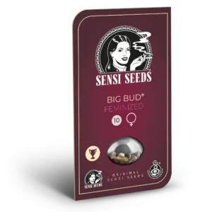 Big Bud® Fem. - 3 Samen - Sensi Seeds
