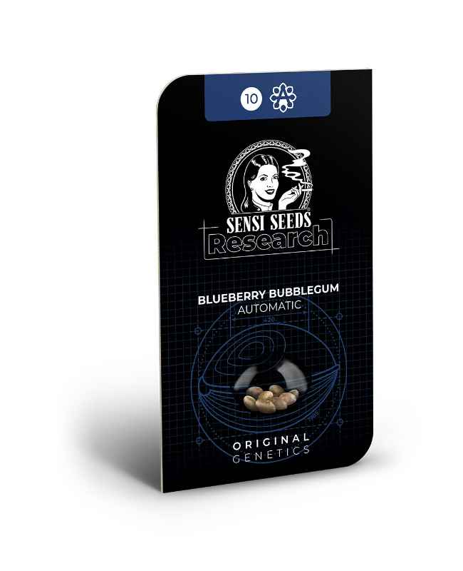 Blueberry Bubblegum Auto - 3 Samen - Sensi Seeds 1 Blueberry Bubblegum Auto - 3 Samen - Sensi Seeds