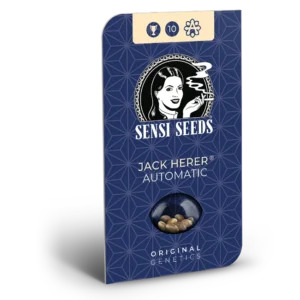 Jack Herer® Fem. - 3 Samen - Sensi Seeds
